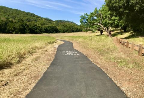 A paved asphalt trail going through a meadow of light green and golden grass, towards a forest of dark green trees, under a blue sky