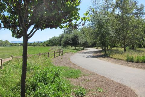 An asphalt trail winds through a park with green grass, a split-rail fence, and smallish trees