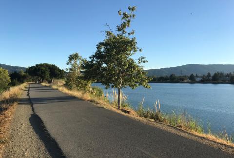 A paved trail lined with small trees next to a large blue lake, with blue mountains on the horizon, under a clear blue sky