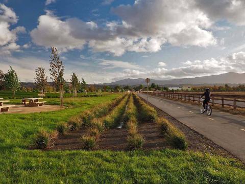 A cyclist rides their bike along a paved trail next to a park with a green lawn, picnic tables, small trees, and shrubs, under a vast blue sky with white fluffy clouds