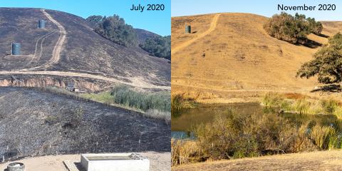 Side by side comparison of Diablo Foothills pre and post fire