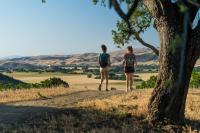 to hikers with their backs to the camera on a dirt trail with a large tree to the right and a huge expanse in front of them