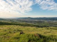 Looking over green grassy hills with orange wildflowers across a valley below towards blue mountains in the distance, under a light blue sky streaked with white clouds