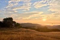 Looking across a golden field with a dark oak tree towards mountains in the distance covered by mist and a sun rising on the horizon with a yellow and blue sky