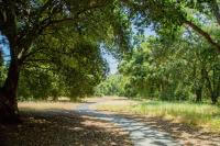 A paved trail winds through green and golden grass under shady oak trees