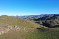 Rolling green hills with trails winding through them, under a bright blue sky